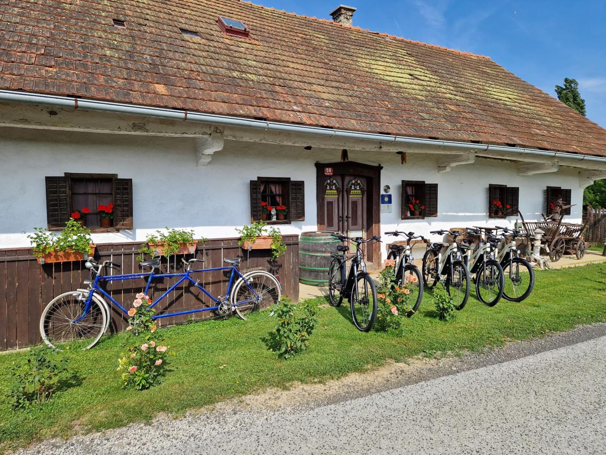 Homestay Kapl Ledinek Exterior photo