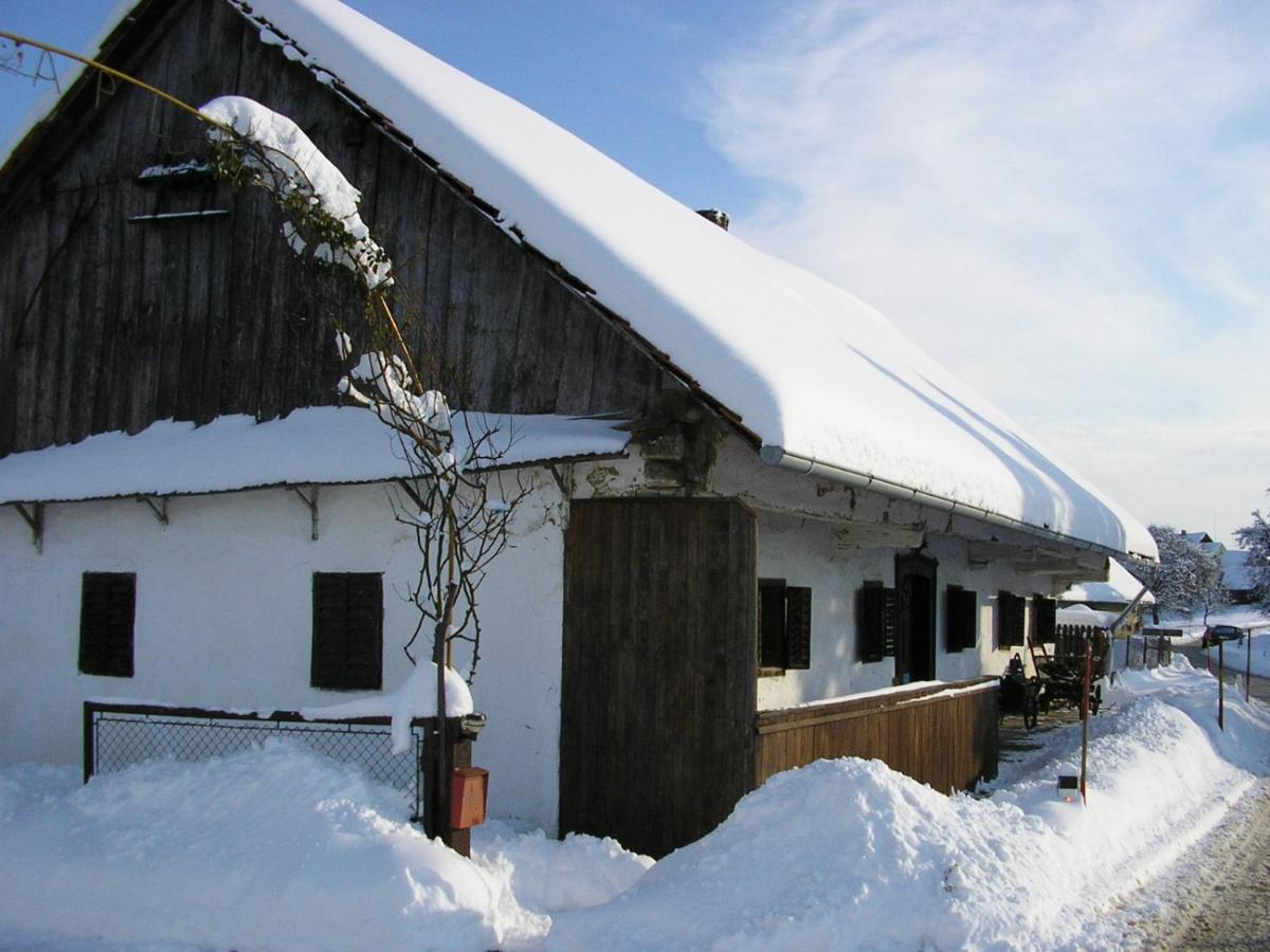 Homestay Kapl Ledinek Exterior photo